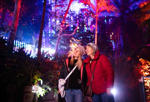 Two women enjoying immersive Christmas lights in the Eden Project Rainforest Biome